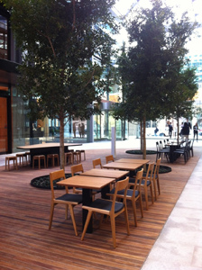 20130801-Tomoe Chairs- Natural on timber deck_1.jpg 20130801-Tomoe Chairs- Natural on timber deck_1.jpg